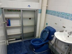 Blk 222 Pasir Ris Street 21 (Pasir Ris), HDB Executive #456705711